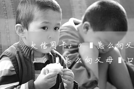 欠信用卡20萬怎么向父母開口-欠信用卡20萬怎么向父母開口要錢
