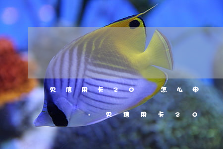 欠信用卡20萬怎么申請(qǐng)停息掛賬-欠信用卡20萬怎么申請(qǐng)停息掛賬呢