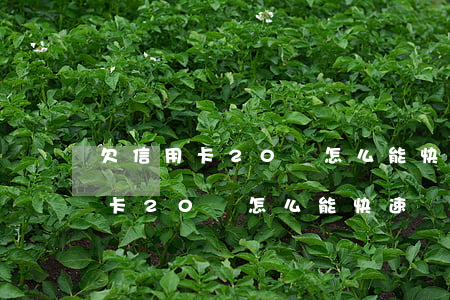 欠信用卡20萬怎么能快速還完錢-欠信用卡20萬怎么能快速還完錢呢