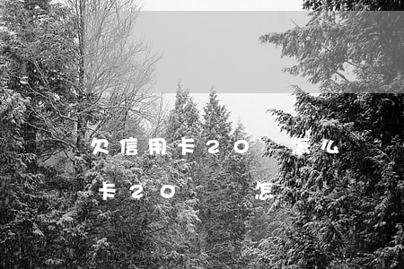 欠信用卡20萬怎么辦車貸(名下有車欠信用卡20萬會怎樣)