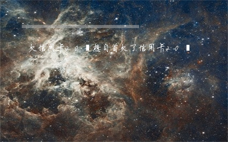 欠信用卡20萬想自首(欠了信用卡20萬)