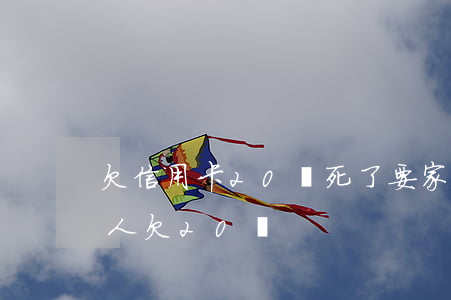 欠信用卡20萬死了要家人還嗎（信用卡借別人欠20萬）