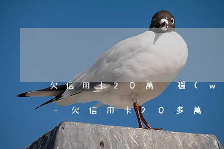 欠信用卡20萬沒穩(wěn)定收入咋辦-欠信用卡20多萬,沒錢還會(huì)坐牢嗎