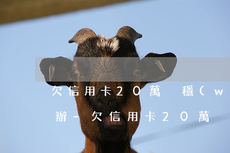 欠信用卡20萬沒穩(wěn)定收益怎么辦-欠信用卡20萬沒有錢還怎么辦