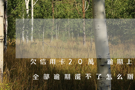 欠信用卡20萬沒逾期上海(欠信用卡幾十萬全部逾期還不了怎么辦)