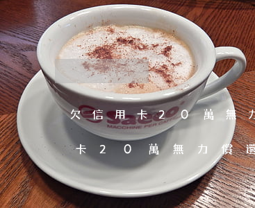 欠信用卡20萬無力償還怎么辦理-欠信用卡20萬無力償還怎么辦理房貸
