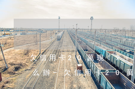 欠信用卡20萬現(xiàn)在還不上怎么辦-欠信用卡20萬現(xiàn)在還不上怎么辦呢