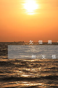 欠信用卡20萬網(wǎng)貸20萬判刑(欠信用卡網(wǎng)貸20萬怎么辦)