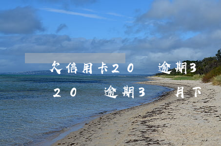 欠信用卡20萬逾期3個月下場-欠信用卡20萬逾期3個月下場會怎樣