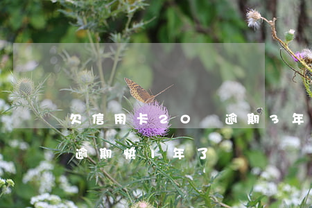 欠信用卡20萬逾期3年(信用卡欠了2萬多逾期快1年了)