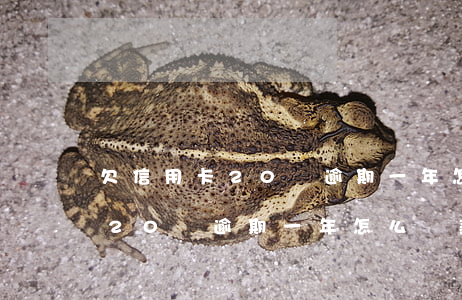 欠信用卡20萬逾期一年怎么還-欠信用卡20萬逾期一年怎么還款
