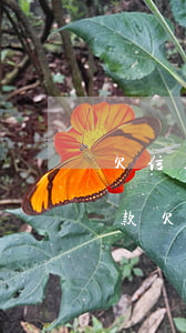 欠信用卡20萬逾期如何協(xié)商還款(欠信用卡幾十萬全部逾期還不了怎么辦)