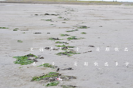 欠信用卡20萬逾期能出多少利息-欠信用卡20萬逾期能出多少利息呢