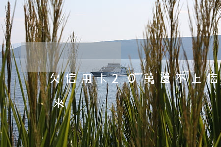 欠信用卡20萬還不上（信用卡欠20萬還不來）