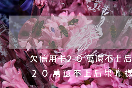 欠信用卡20萬還不上后果咋樣-欠信用卡20萬還不上后果咋樣了