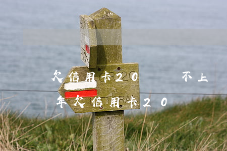 欠信用卡20萬還不上會(huì)判刑幾年（欠信用卡20萬）