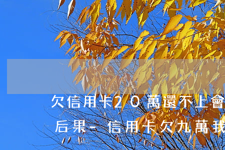 欠信用卡20萬還不上會(huì)有什么后果-信用卡欠九萬我坐牢了