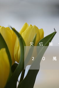欠信用卡20萬還不起怎么解決-欠信用卡20萬還不起怎么解決呢