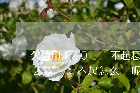 欠信用卡20萬還不起怎么辦呢-欠信用卡20萬還不起怎么辦呢怎么解決