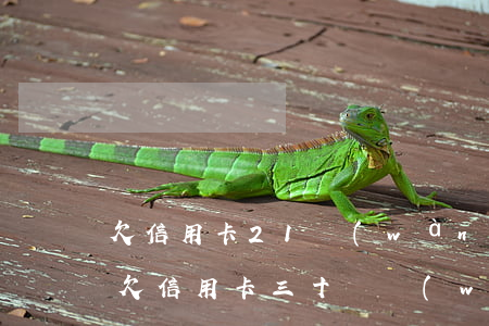 欠信用卡21萬(wàn)即將逾期怎么辦 欠信用卡三十幾萬(wàn)逾期了怎么辦