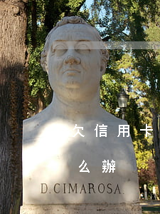欠信用卡22萬合理嗎(欠信用卡20多萬怎么辦)
