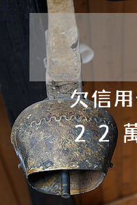欠信用卡22萬無力償還怎么辦-欠信用卡22萬無力償還怎么辦呢