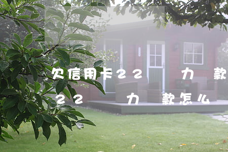 欠信用卡22萬無力還款怎么辦-欠信用卡22萬無力還款怎么辦呢