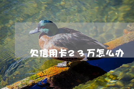 欠信用卡23万怎么办