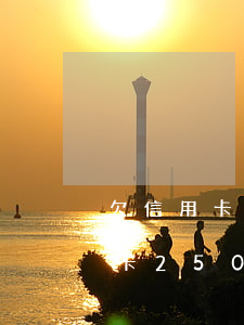 欠信用卡2500元不還會怎么樣-欠信用卡2500元不還會怎么樣嗎