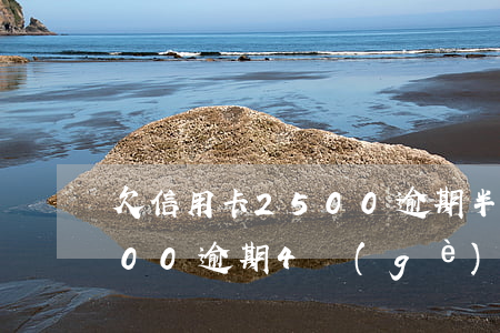 欠信用卡2500逾期半年(欠信用卡50000逾期4個(gè)月)