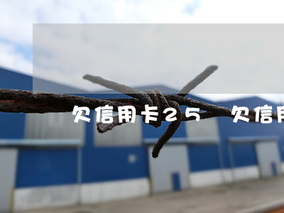 欠信用卡25張(欠信用卡25張)