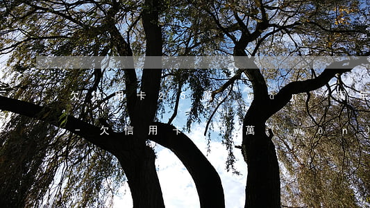 欠信用卡25萬(wàn)兩年未還被起訴-欠信用卡25萬(wàn)兩年未還被起訴會(huì)怎樣