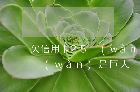 欠信用卡25萬(wàn)（逾期信用卡25萬(wàn)是巨大額度嗎）