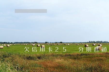 欠信用卡25萬分期(普通人欠信用卡25萬)