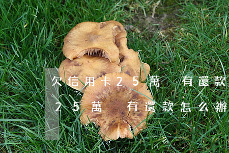 欠信用卡25萬沒有還款怎么辦-欠信用卡25萬沒有還款怎么辦呢