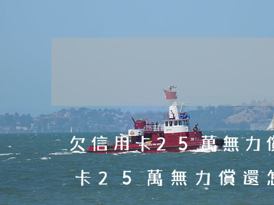 欠信用卡25萬無力償還怎么解決-欠信用卡25萬無力償還怎么解決呢