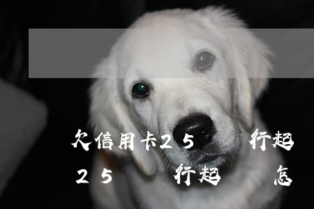 欠信用卡25萬銀行起訴會怎樣-欠信用卡25萬銀行起訴會怎樣處理