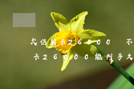 欠信用卡26000會不會被起訴-欠信用卡26000能判多久