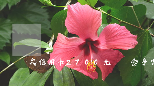欠信用卡2700元違約金多少-