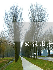 欠信用卡28萬(wàn)網(wǎng)貸7萬(wàn)(網(wǎng)貸加信用卡欠款80萬(wàn))