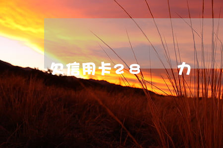 欠信用卡28萬 無力償還了 怎么處理?