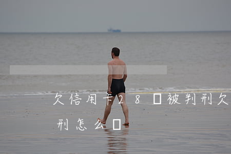 欠信用卡28萬被判刑 欠信用卡28萬被判刑怎么辦