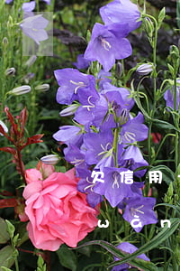 欠信用卡2999元不還(信用卡欠款9萬(wàn))