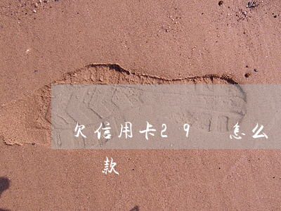 欠信用卡29萬怎么還(欠信用卡29萬怎么還款)