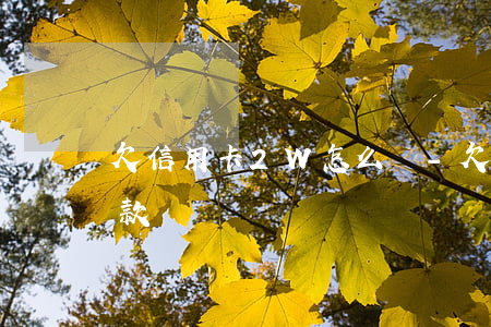 欠信用卡2W怎么還-欠信用卡2w怎么還款