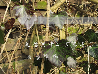 欠信用卡2万不还了-欠信用卡2万不还了会坐牢吗