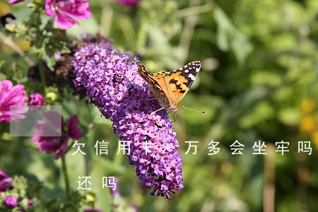欠信用卡2万多会坐牢吗（欠信用卡2万父母还吗）
