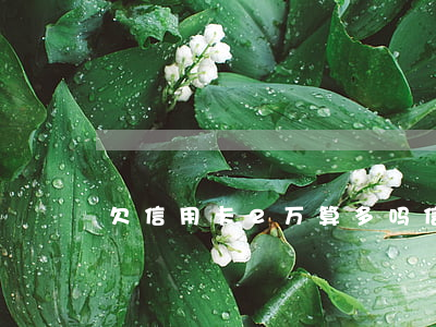 欠信用卡2万算多吗（信用卡欠2万要还多久）
