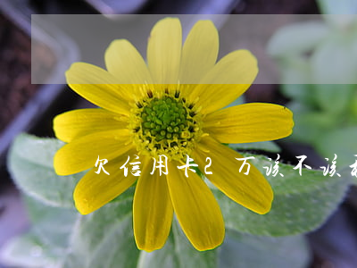 欠信用卡2万该不该和女朋友说-