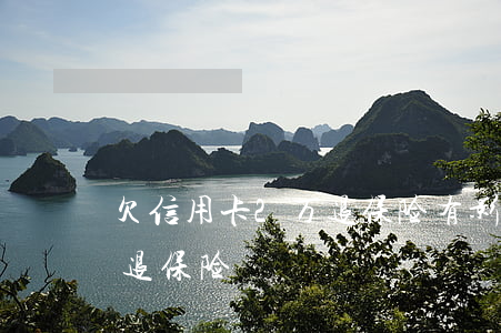 欠信用卡2万退保险有影响吗（欠信用卡2万退保险）